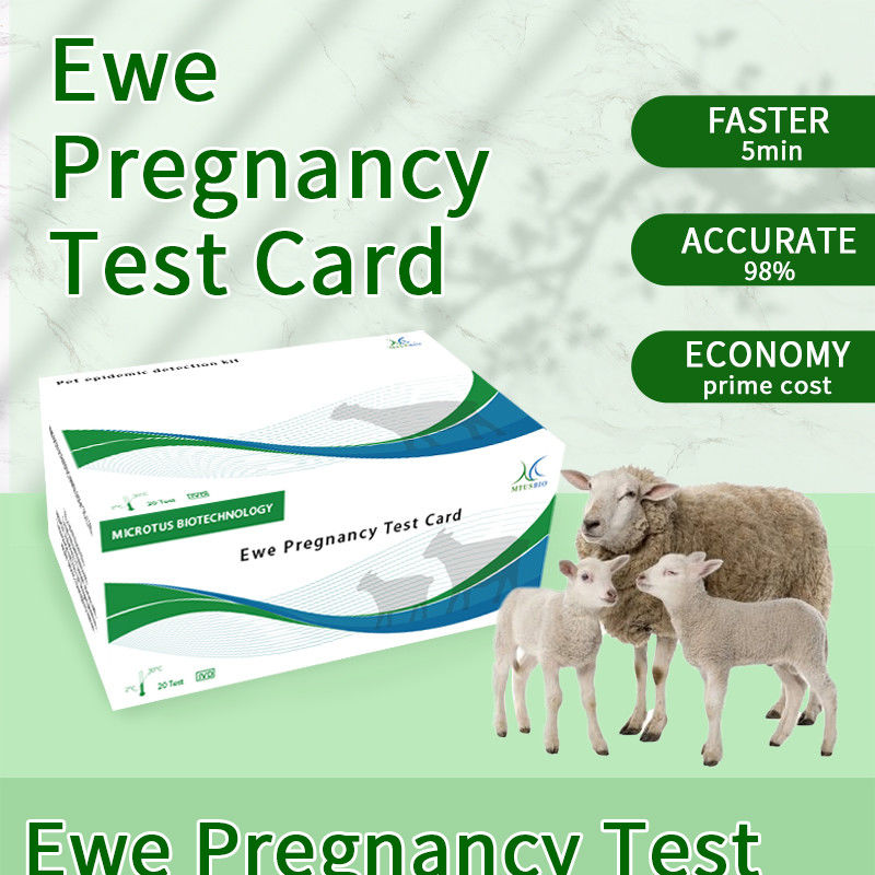 Istruzioni per la scheda di prova della gravidanza precoce delle pecore fornitore