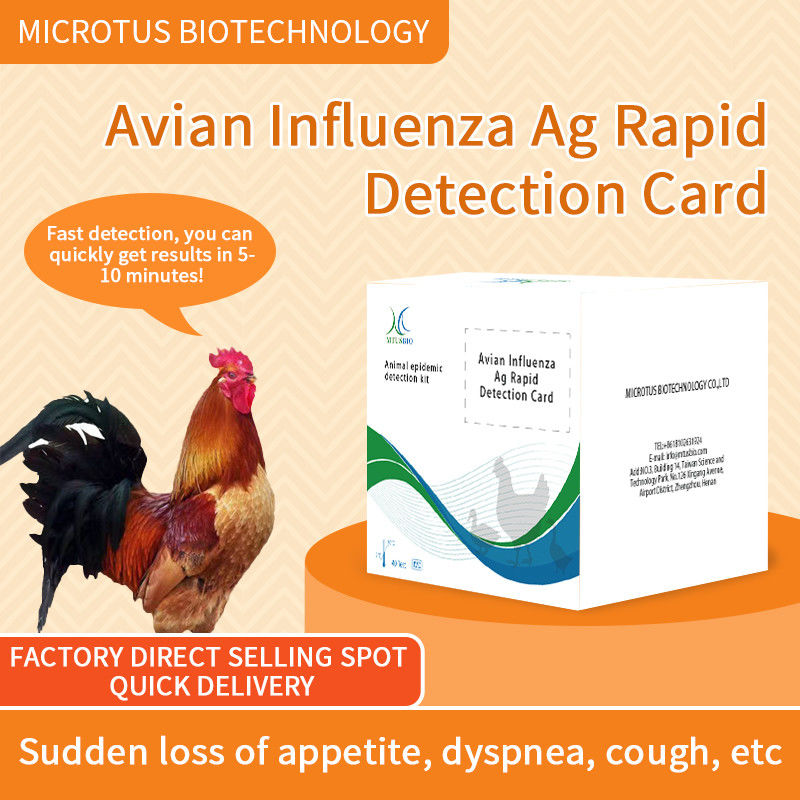 Carta di test rapido degli anticorpi contro l' influenza aviaria fornitore