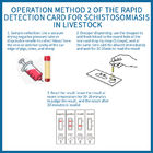 Carta di rilevamento rapido degli anticorpi dello schistosoma negli animali domestici fornitore